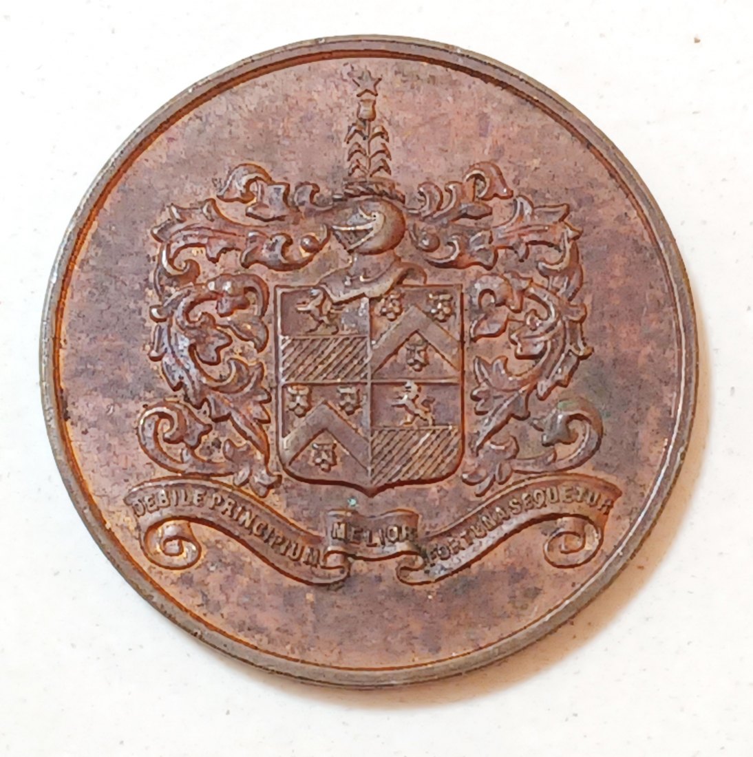 1934 South Africa Royal Visit of Prince George to Durban Bronze Medal 30mm 13g