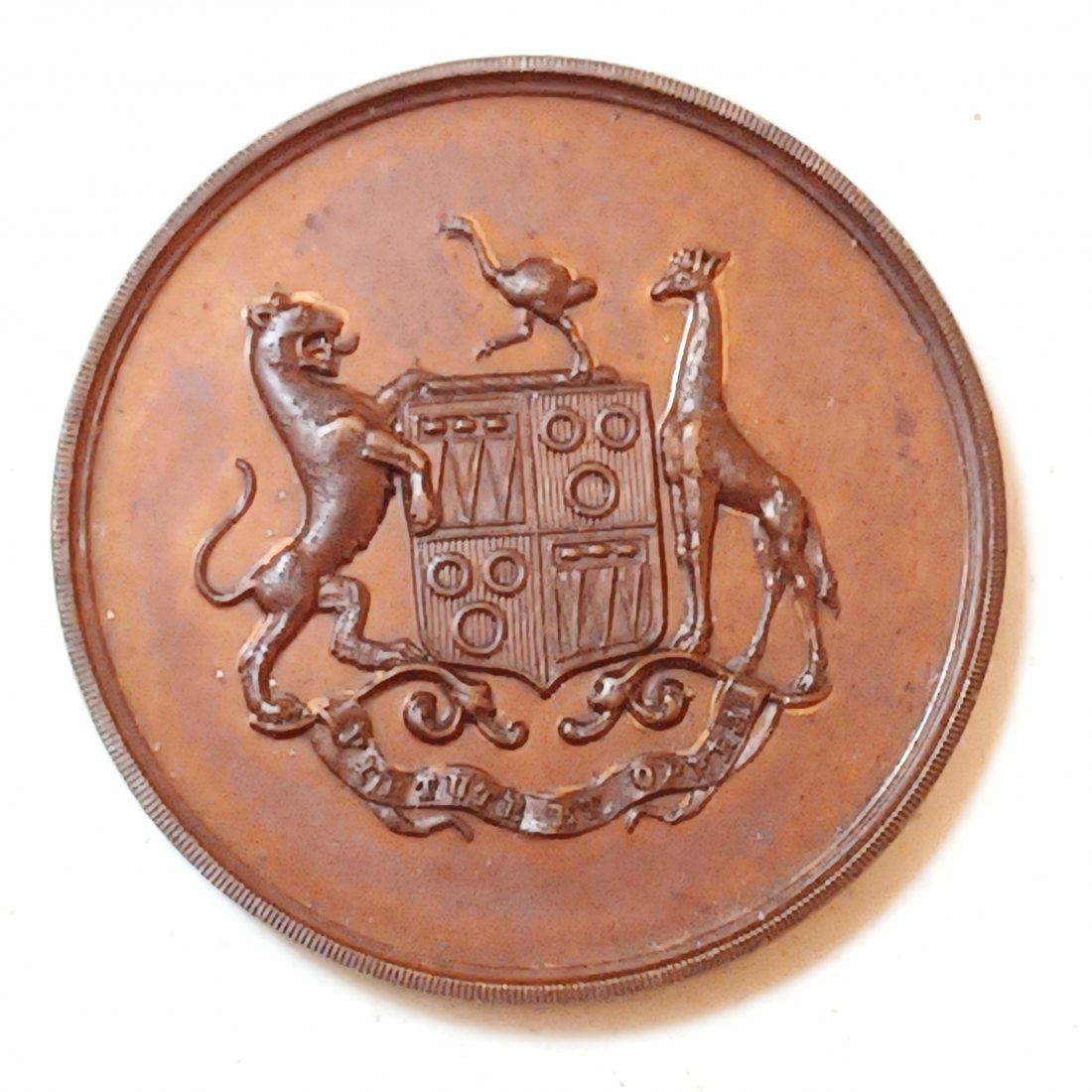 1923 South Africa P & P.C Won by Anderson Bros Lion Giraffe Ostrich 35mm 16g Bronze Medal