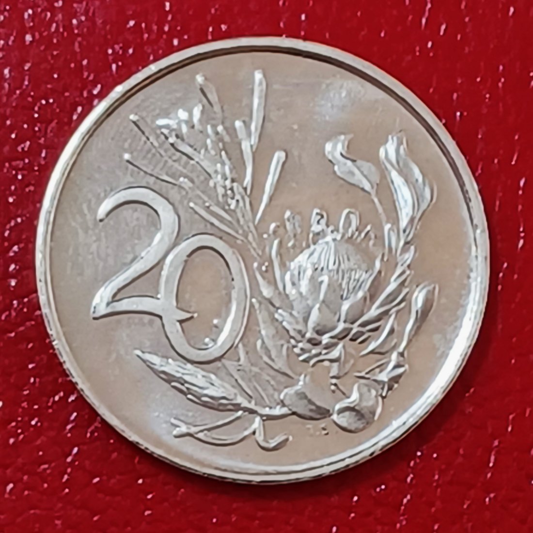 1981 South Africa Proof African Protea Twenty Cent 20c Mintage 10,000