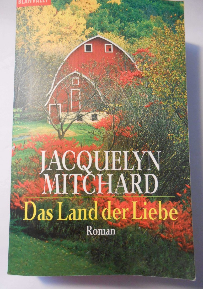 Romane Thriller Abenteuer (11)