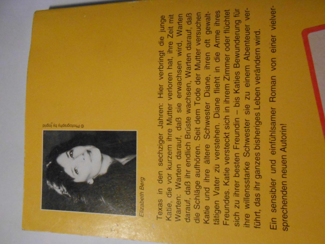  Romane Thriller Abenteuer (18)   