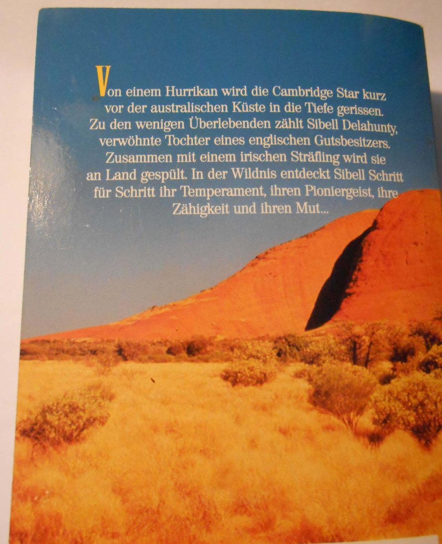  Romane Thriller Abenteuer (23)   