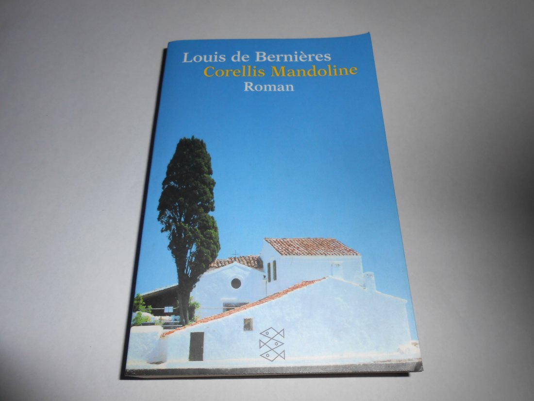  Romane Thriller Abenteuer (31)   