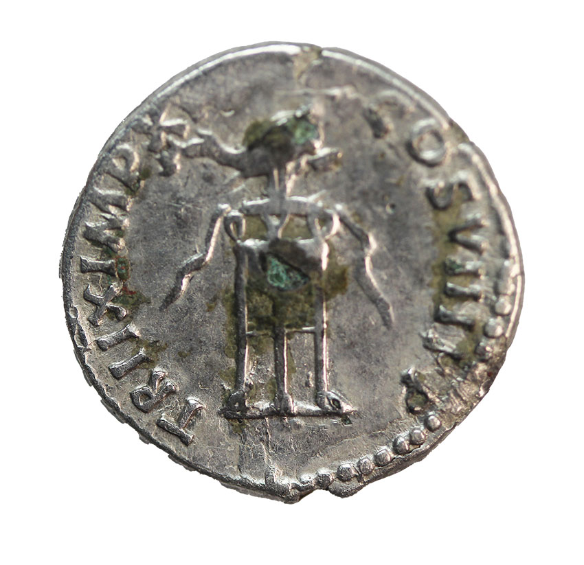  Titus as Augustus 79-81 AD,AR Denarius, 2,19 g.   