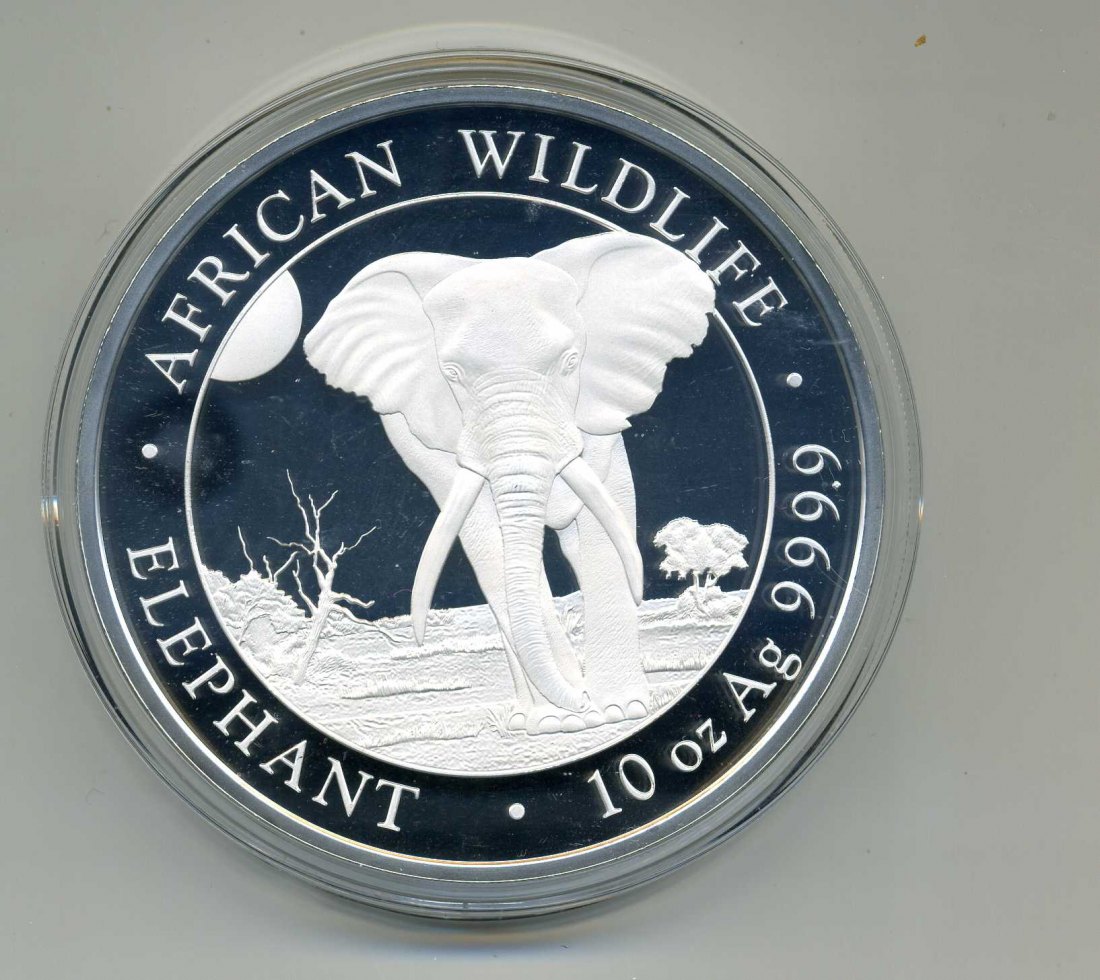 Somalia 2000 Schilling Elephant 2025 10 Unzen Silber Original Kapsel