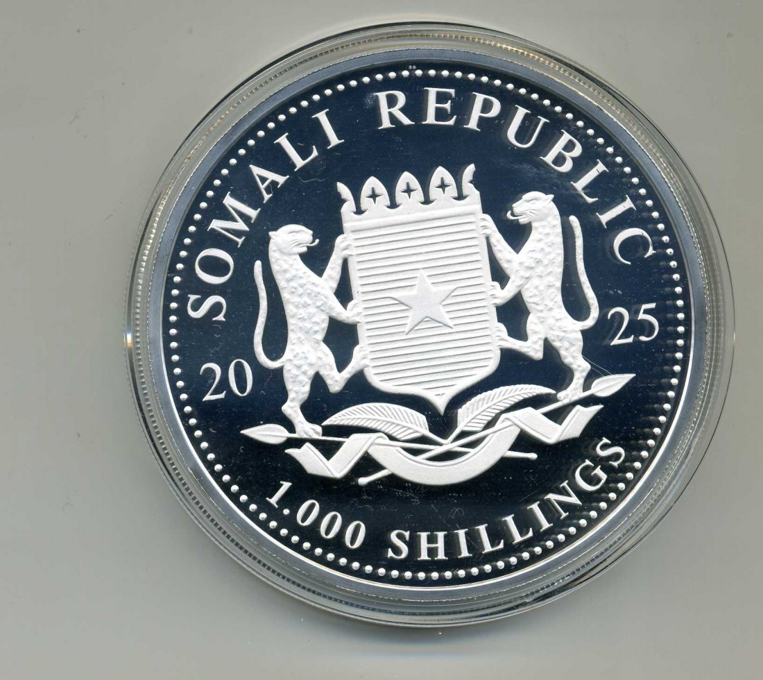  Somalia 2000 Schilling Elephant 2025 10 Unzen Silber Original Kapsel   