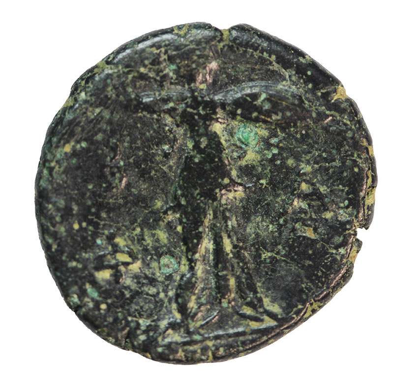 Macedonia,Philip V. 221-179 BC,AE 17, 3,79 g