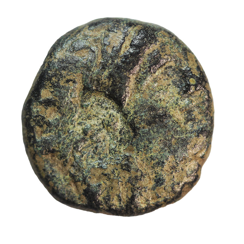 Seleukid Kingdom,Antiochos II.Theos 261-246 BC,AE 14, 3,60 g