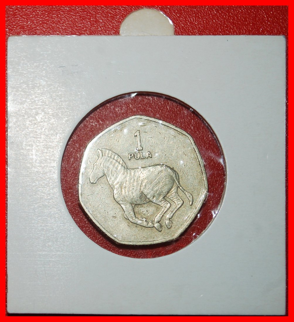  Ⰿ CANADA (1991-2007): BOTSWANA ★1 PULA 1991 HEPTAGON ZEBRA! DIES I A! HOLDER★LOW START ★ NO RESERVE!   