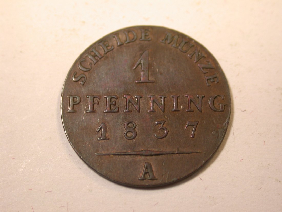  J09 Preussen  1 Pfennig 1837 A in f. ST  !!! Originalbilder   