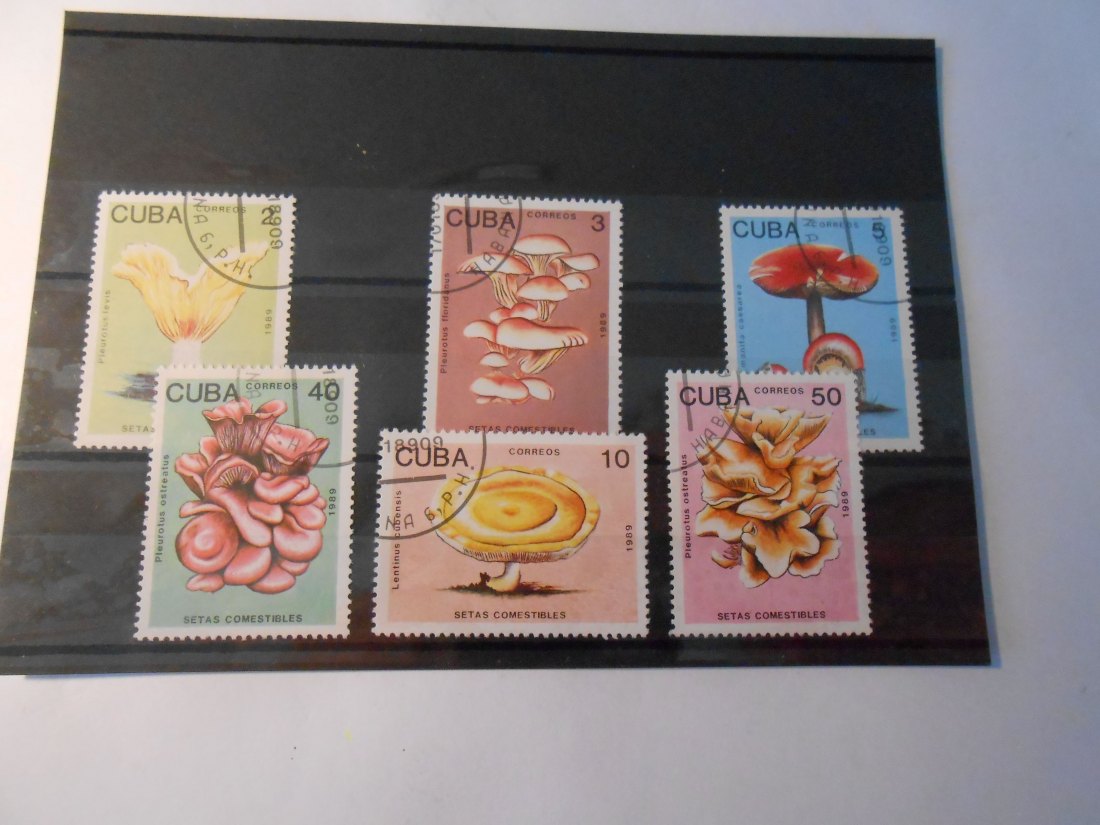  Briefmarken 22 Kuba -Pilze-   