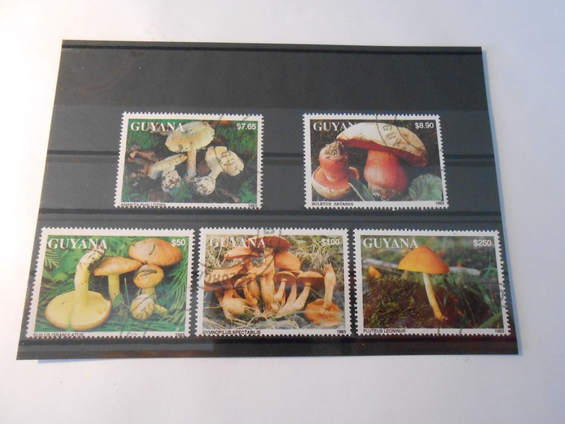  Briefmarken 25 Guyana -Pilze-   