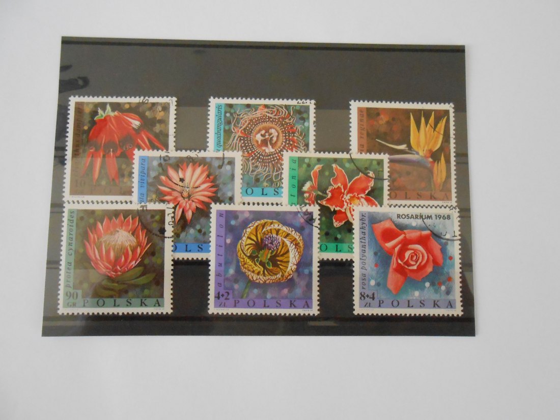  Briefmarken 34  Polen - Blumen -   