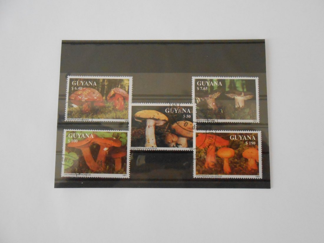 Briefmarken 39 Guyana - Pilze -   
