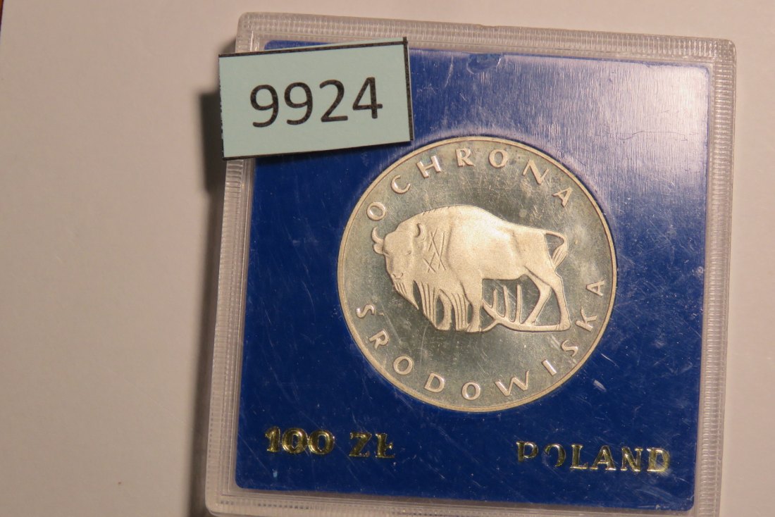 9924 Polen 1977 - 100 Zloty - - WIESENT
