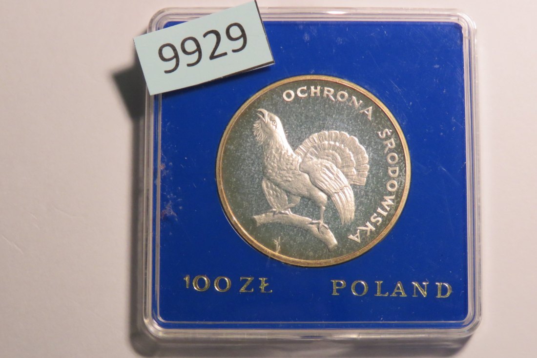  9929 Polen 1980 - 100 Zloty - 16,5 g SILBER 0.625  AUERHAHN   