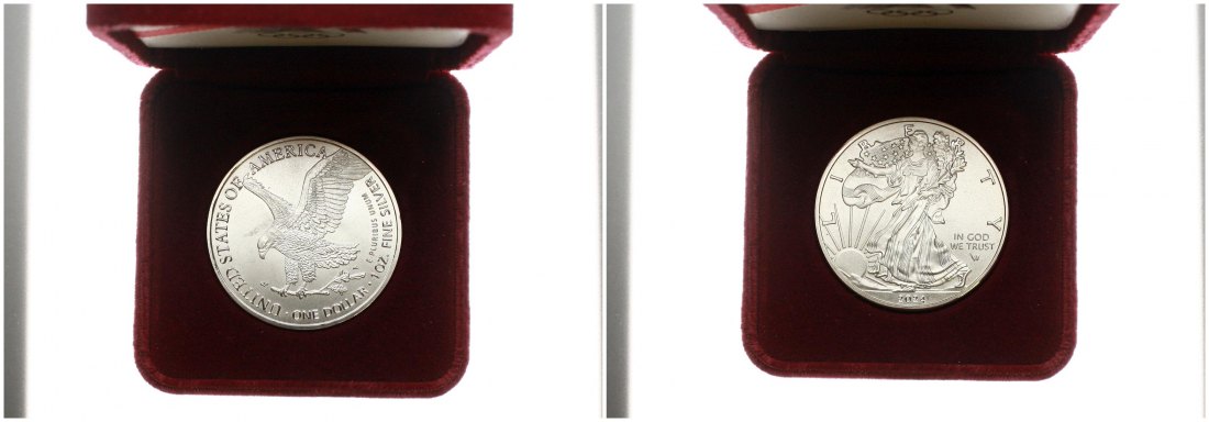  USA: 1 Dollar 2024, Walking Liberty/Silver Eagle, 1 Unze Feinsilber (31,1 gr)!! TOP-Qualität!   