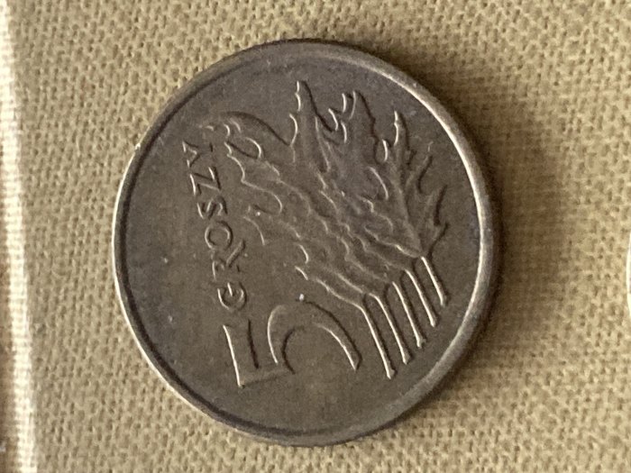  Münze Münzen Umlaufmünze Polen 5 Groszy 2005   