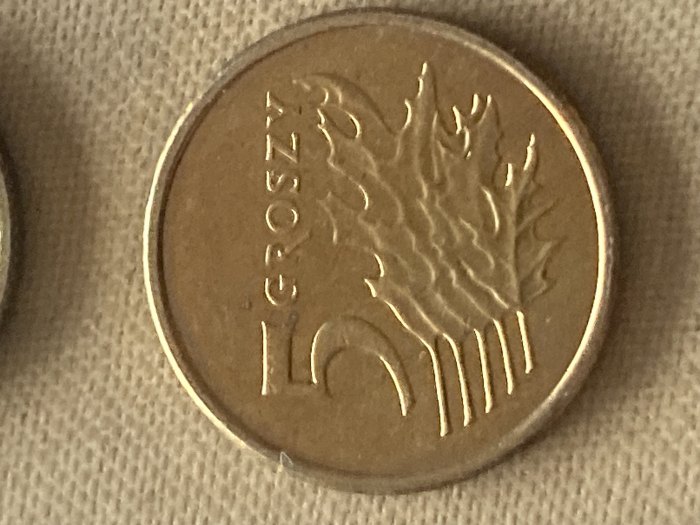  Münze Münzen Umlaufmünze Polen 5 Groszy 2007   
