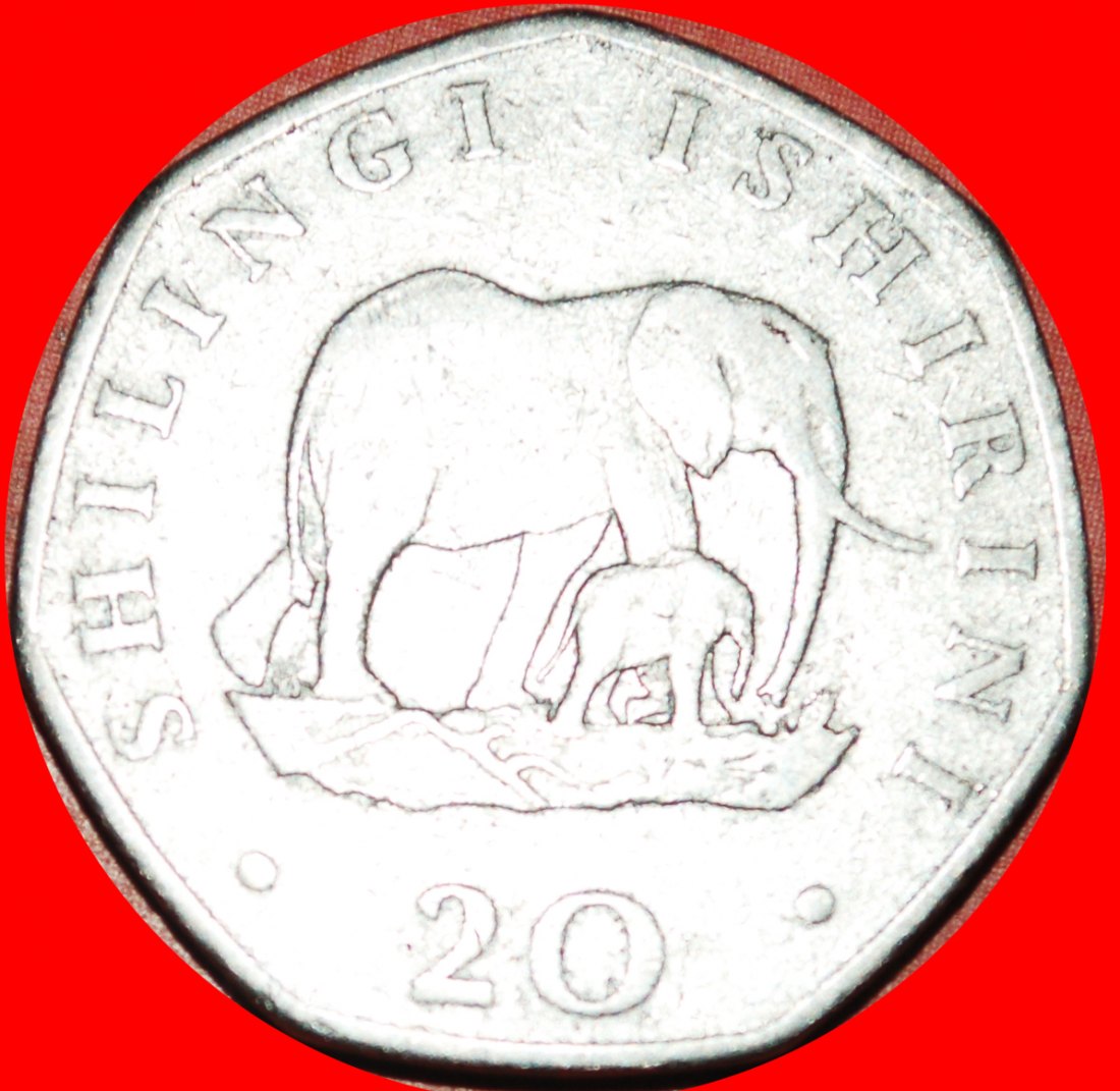 Ⰿ 2 SOLD ELEPHANT WITH CALF: TANZANIA★ 20 SHILLINGS 1992! MWINYI (1985-1995)★LOW START ★ NO RESERVE!   