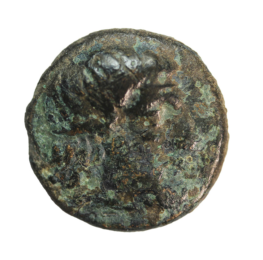  Seuthes III. King of Thrace 330-300 BC,Head of Seuthes, AE19, 6,33 g, LOK-T046   