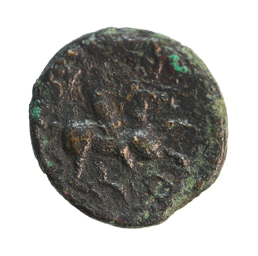  Seuthes III. King of Thrace ca. 324 BC,Head of Seuthes, AE19, 5,74 g,   