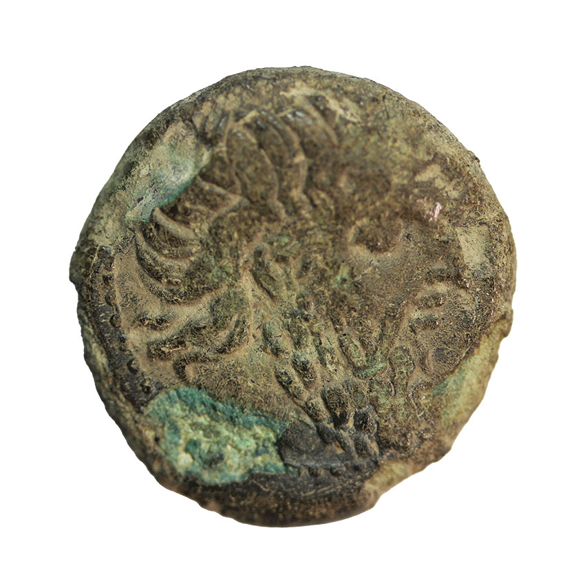  Seuthes III. King of Thrace ca. 324 BC,Head of Zeus, AE19, 5,37 g,   