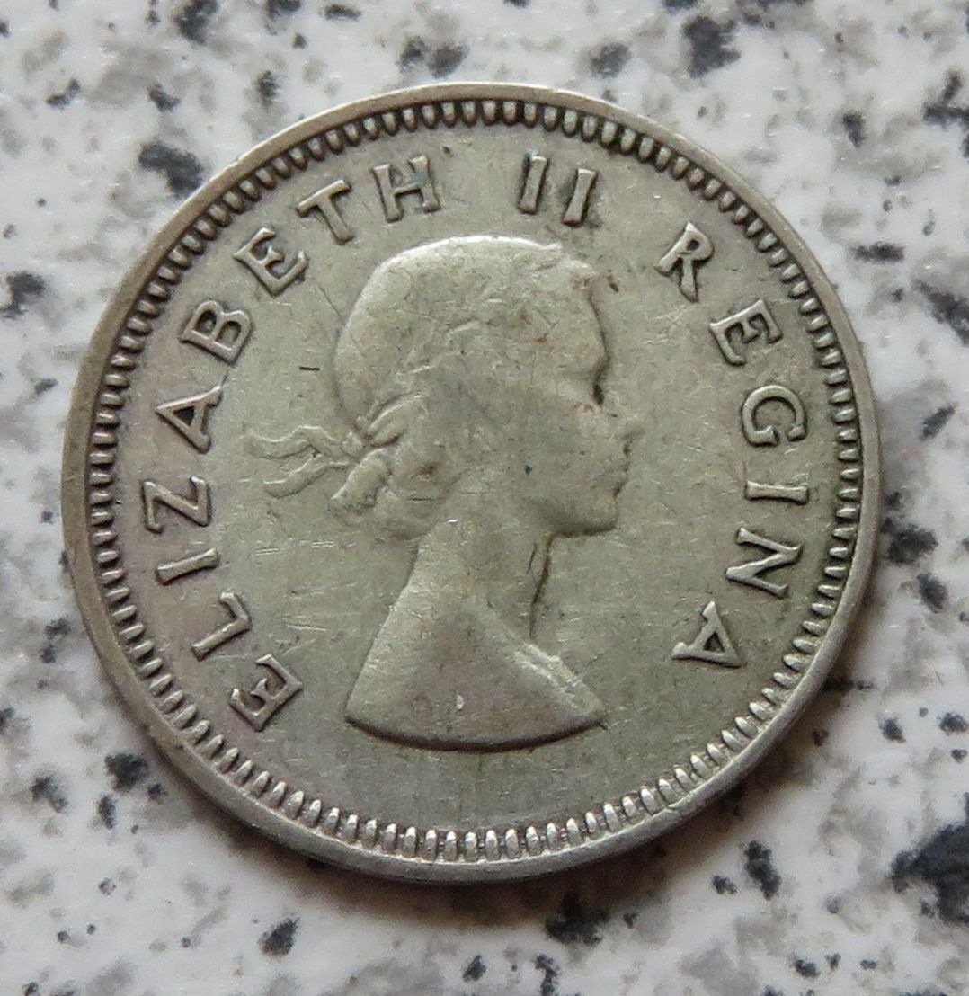  Südafrika 3 Pence 1955   