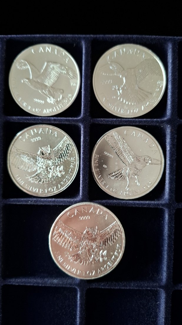  Canada Kanada 5 x 1 oz Silber 2014/2015 Eule Falken   