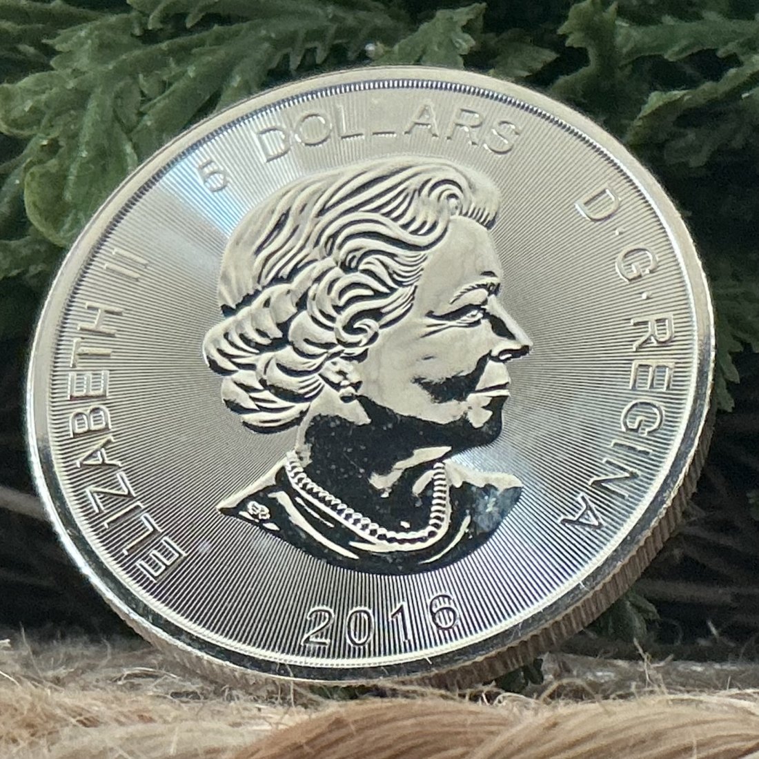  Kanada Predator Serie Puma 2016 1 Oz Silber   