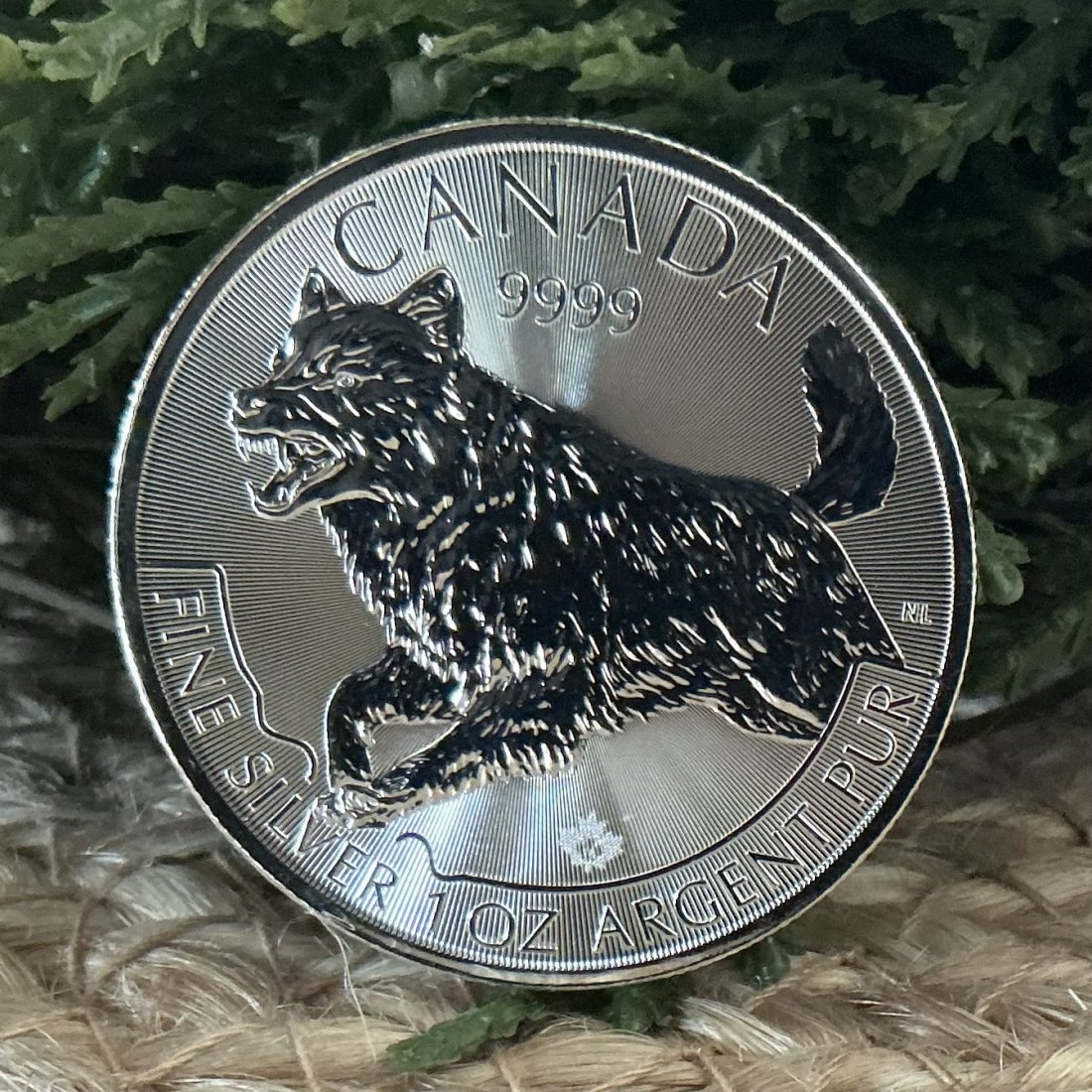  Kanada Predator Serie 2018 Wolf Oz Silber   