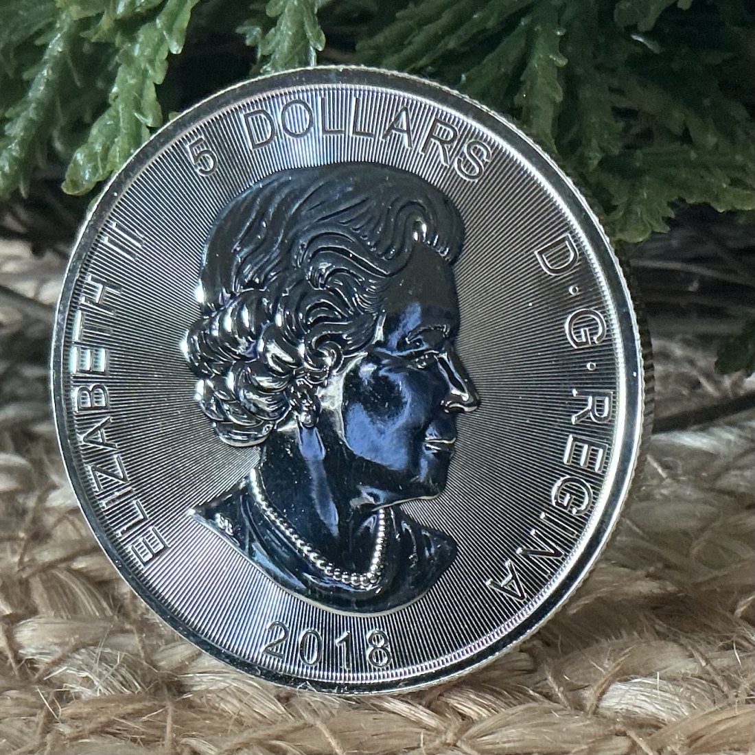  Kanada Predator Serie 2018 Wolf Oz Silber   