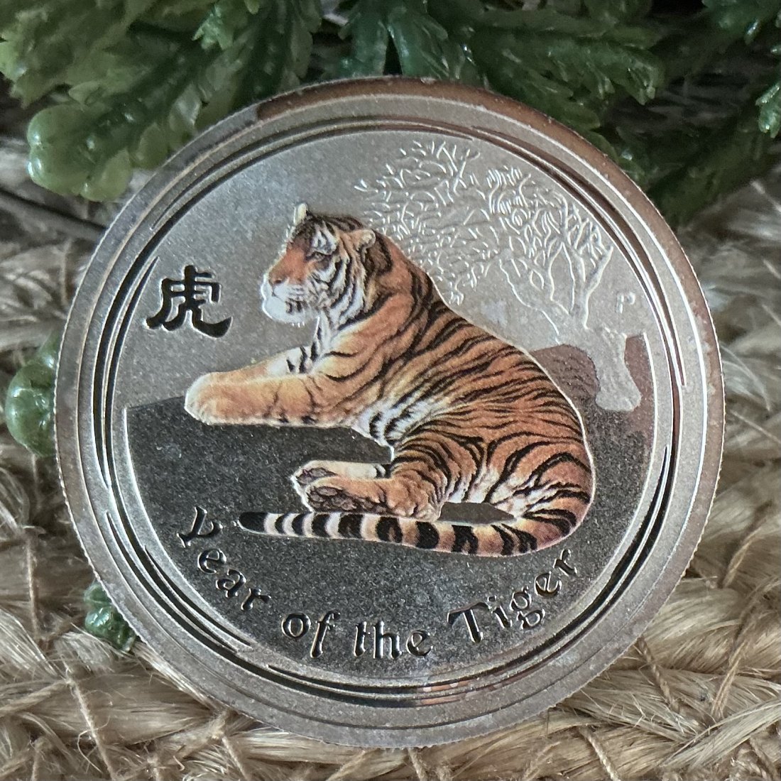 Australien 1x 1/2 Oz Lunar II 2010 Tiger Farbe/Colour (3)