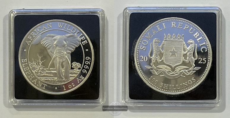  Somalia  100 Schilling 2025 African Wildlife Elephant FM-Frankfurt  Feinsilber: 31,1g   