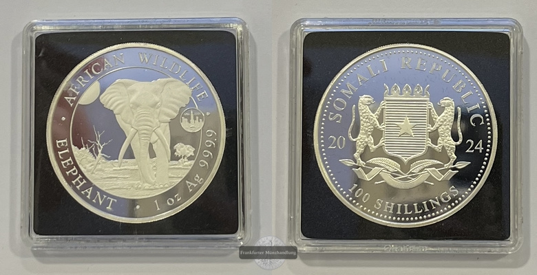  Somalia  100 Schilling 2024 African Wildlife Elephant Privy Mark FM-Frankfurt  Feinsilber: 31,1g   