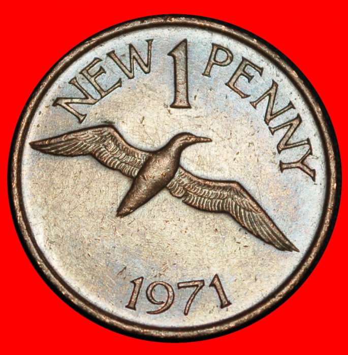  Ⰿ NORTHEN GANNET ★ GUERNSEY ★ 1 NEW PENNY 1971! ELIZABETH II (1953-2022)★LOW START ★ NO RESERVE!   