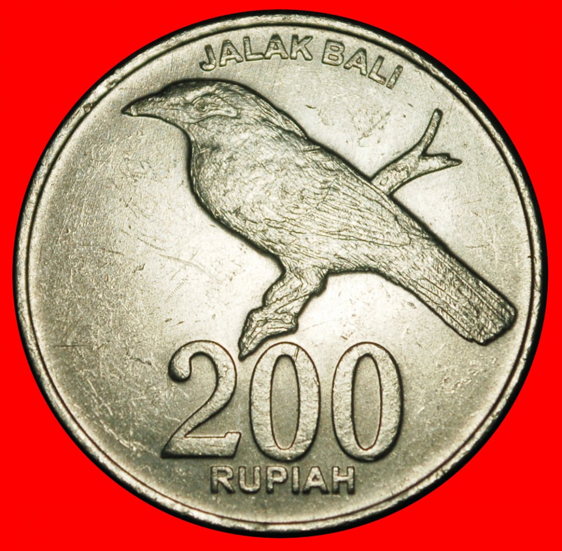  Ⰿ BIRD and SOLAR ECLIPSE: INDONESIA ★ 200 RUPIAH 2003! Not 2008! MINT LUSTRE★LOW START ★ NO RESERVE!   