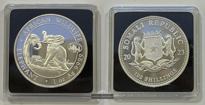  Somalia  100 Schilling 2023 African Wildlife Elephant Privy Mark FM-Frankfurt  Feinsilber: 31,1g   