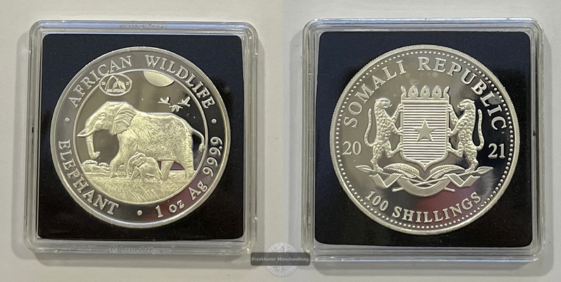  Somalia  100 Schilling 2021 African Wildlife Elephant Privy Mark FM-Frankfurt  Feinsilber: 31,1g   