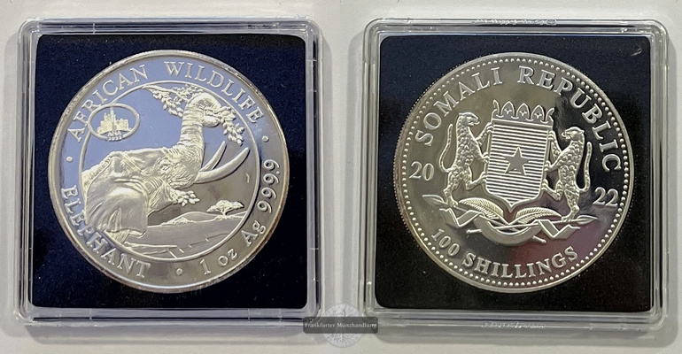  Somalia  100 Schilling 2022 Wildlife Elephant Privy Mark FM-Frankfurt  Feinsilber: 31,1g   