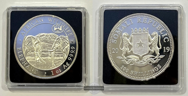  Somalia  100 Schilling 2019 Wildlife Elephant Privy Mark FM-Frankfurt  Feinsilber: 31,1g   