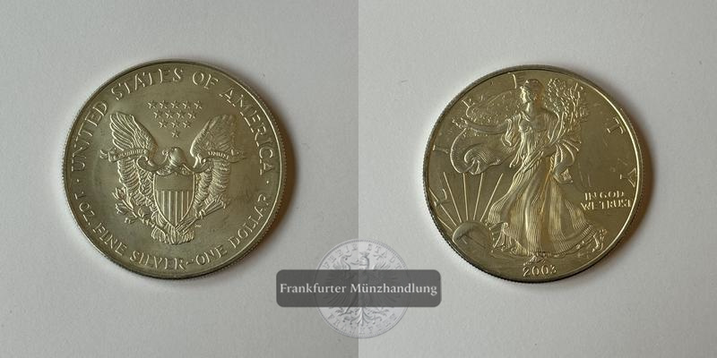  USA 1 Dollar  2003  American Eagle  FM-Frankfurt Feinsilber: 31,1g   