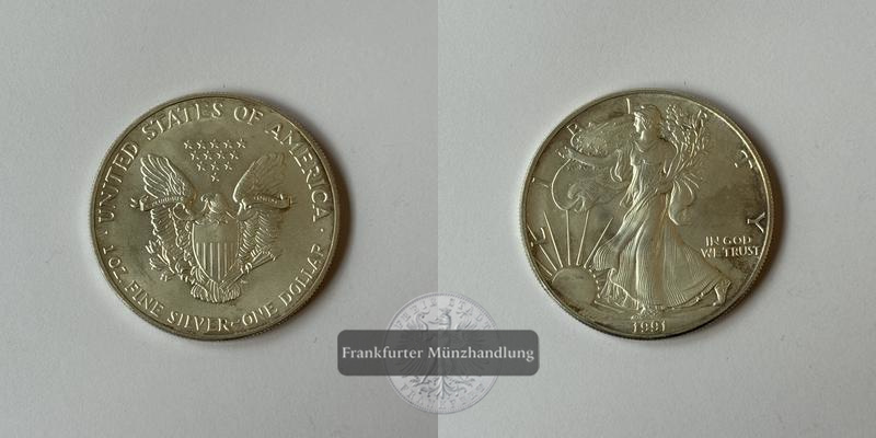  USA 1 Dollar 1991 Walking Liberty KM#273 FM-Frankfurt Feinsilber: 31,06g   