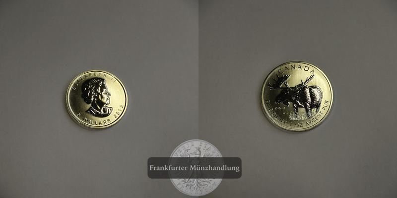  Kanada 5 Dollar 2012 Elch FM-Frankfurt Feinsilber: 31,1g   