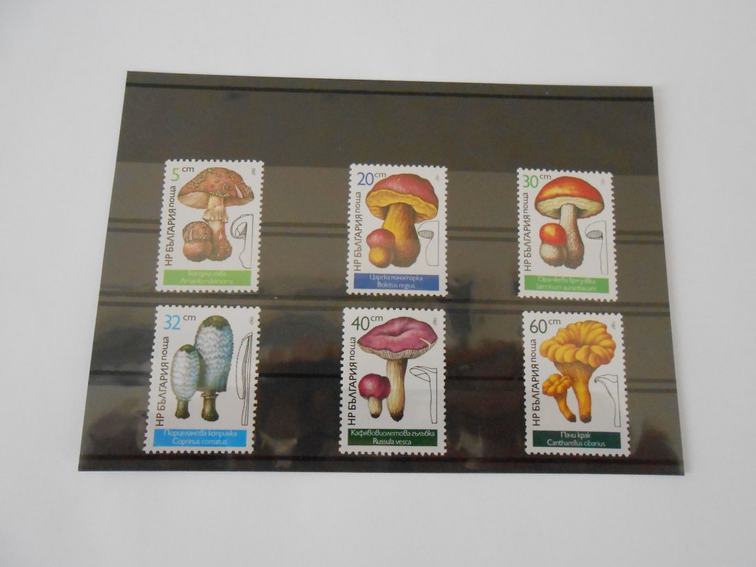  Briefmarken Bulgarien 1987 -Pilze- ( 45)   
