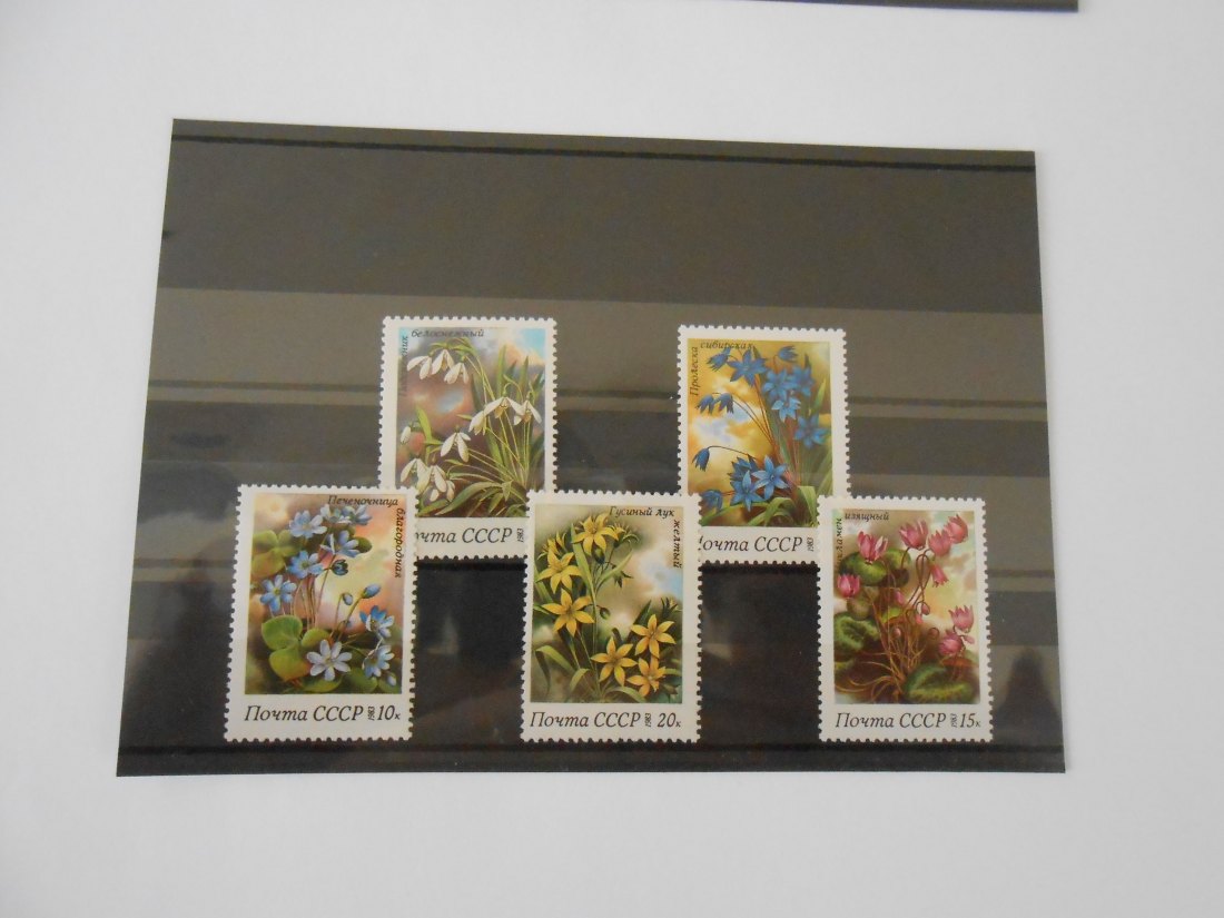  Briefmarken Sowjetunion / CCCP 1983 - Blumen- (47)   