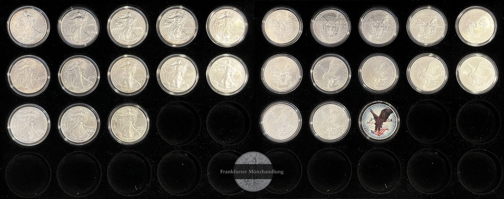  USA Eagle 13 x 1 Dollar (1 Unze) Set 1986-2024 FM-Frankfurt Feinsilber:405g   