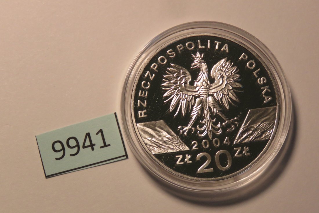  9941 Polen 2004 - 20 Zloty - Schweinswal -  28,28 g SILBER 0.925   