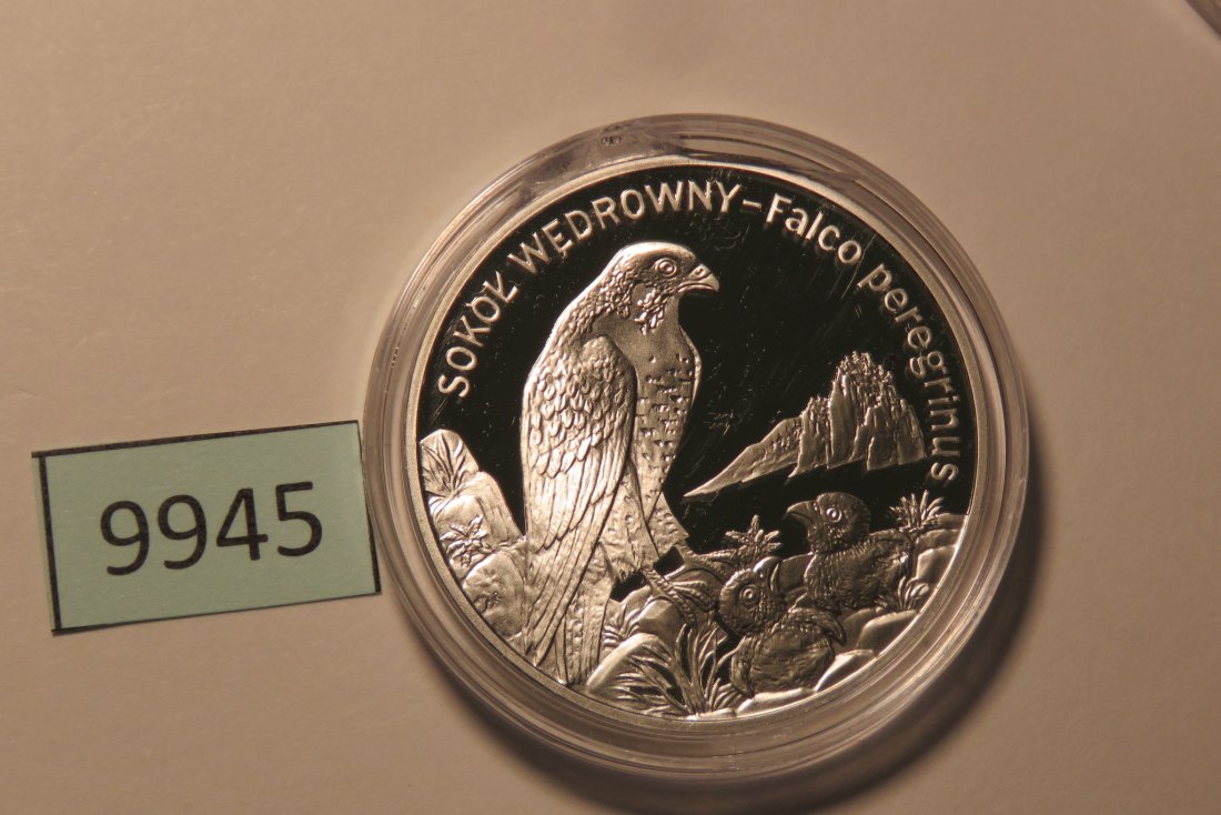  9945 Polen 2008 - 20 Zloty - Falke -  28,28 g SILBER 0.925   