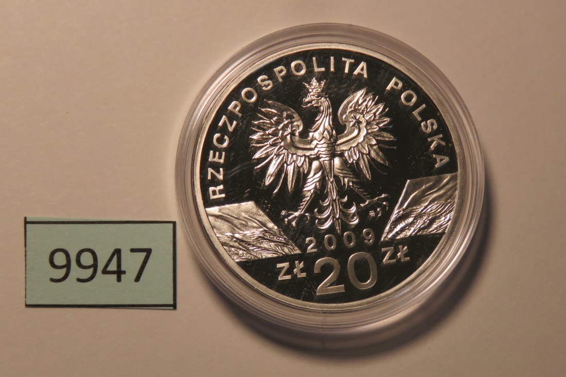  9947 Polen 2009 - 20 Zloty - Eidechse -  28,28 g SILBER 0.925   